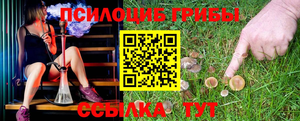 Псилоцибиновые грибы ЛСД Вичуга