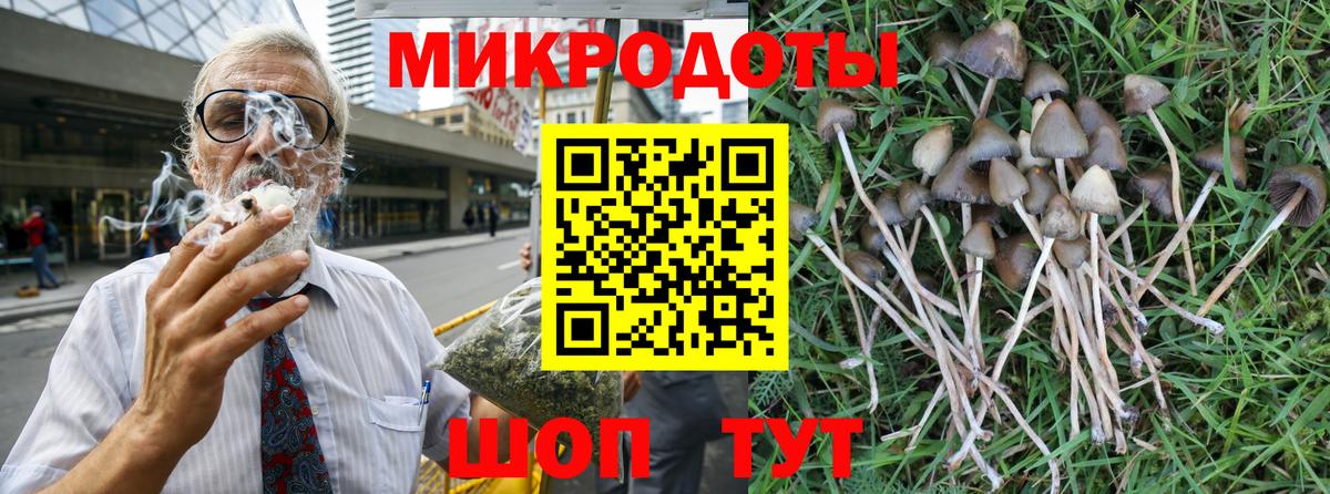 Вичуга  Галлюциногенные грибы Psilocybine cubensis  Вход с VPN 